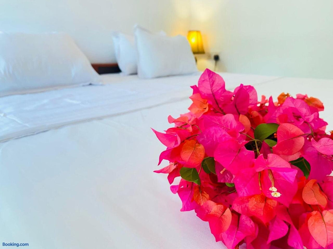 Aaliya Bay Beach Hotel Restaurant Rooms