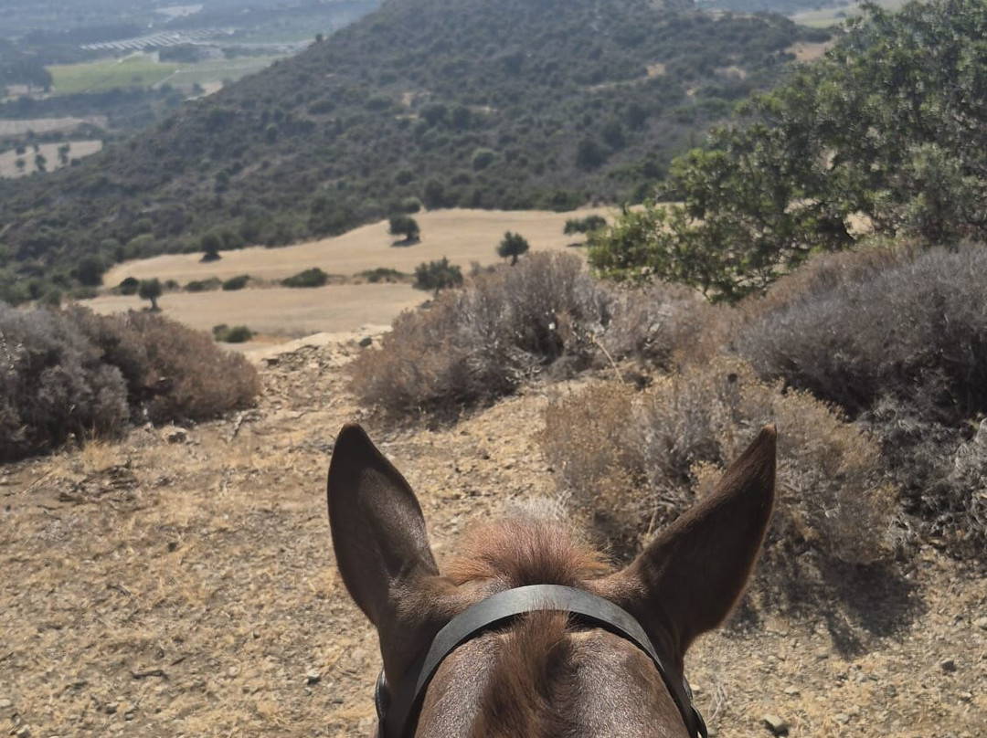 Aphrodite Hills Riding Club-库克利亚必去景点