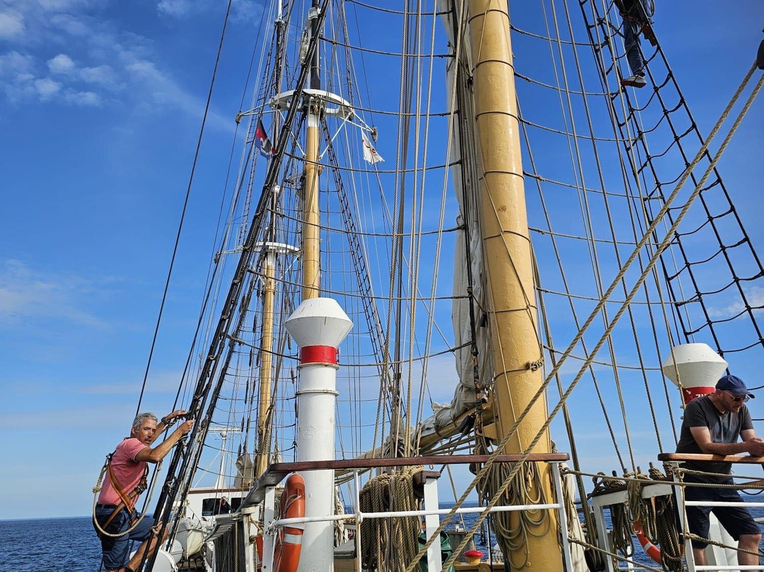 Segelschulschiff Grossherzogin Elisabeth-Elsfleth必去景点