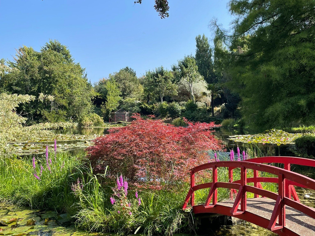 Bennetts Water Gardens-Chickerell必去景点