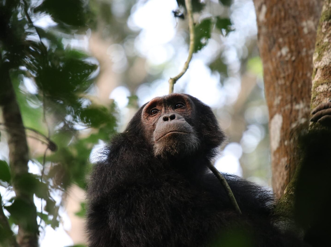My Trip 2 Africa-Mbarara必去景点