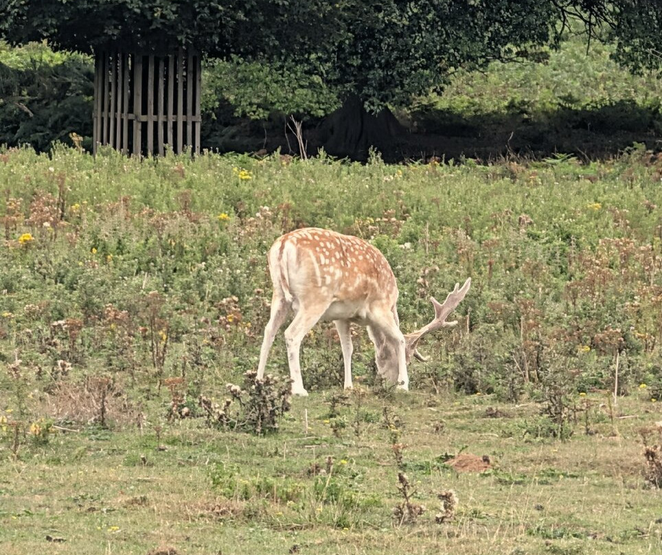 Normanby Hall Country Park-Normanby必去景点