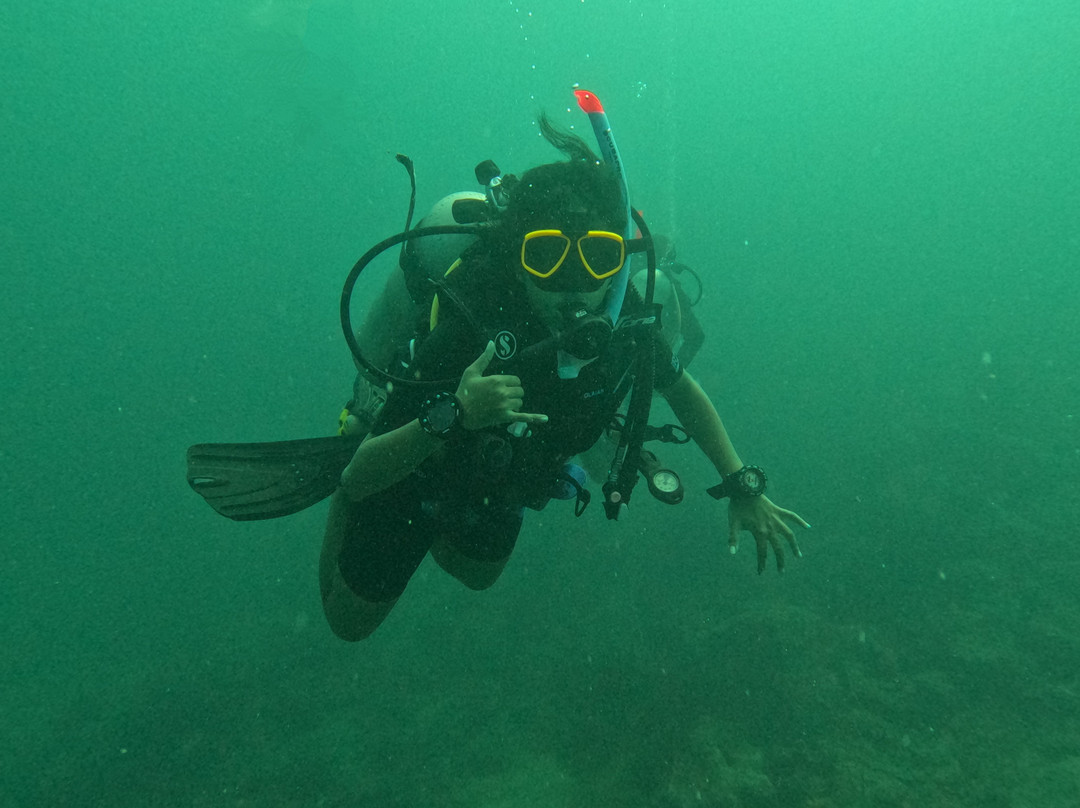 Turquoise Dream | PADI Dive Centre-Neil Island必去景点
