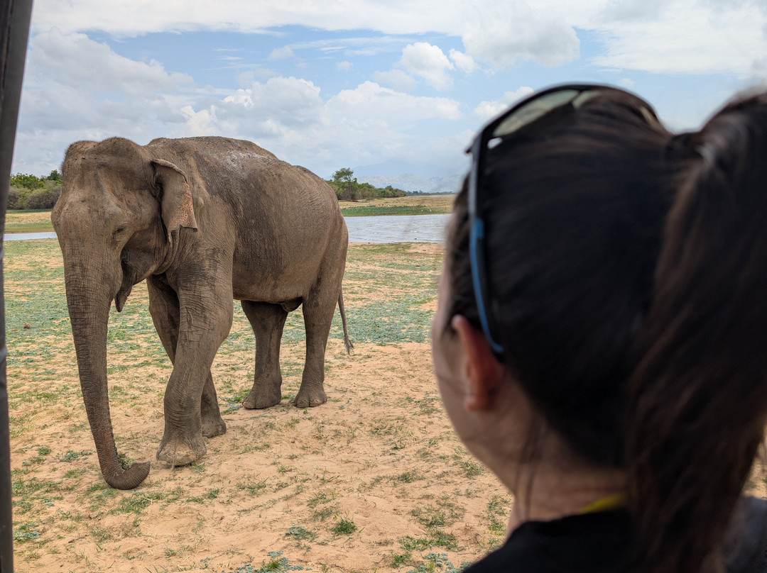 Ceylon leisure travels with sanju-Ja Ela必去景点