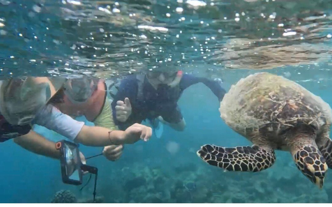 Dive & Sail Ellaidhoo-埃拉胡岛必去景点