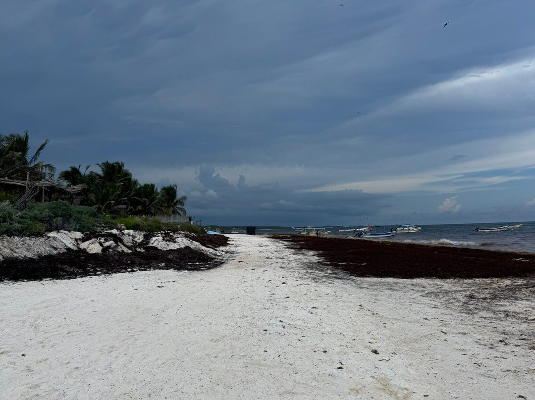 Playa Paraiso-图伦必去景点