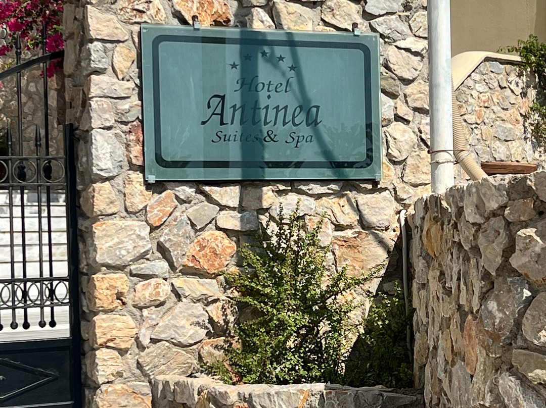 阿提尼亚温泉套房酒店主图