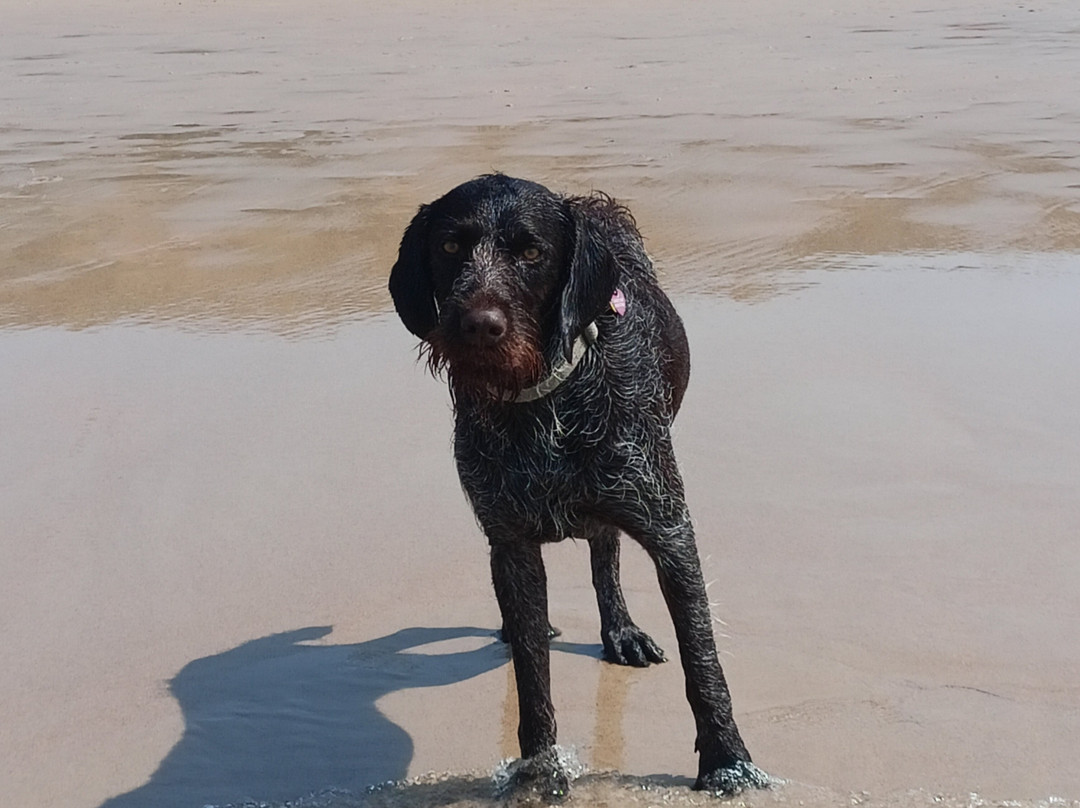 Plage Naturiste D'ondres