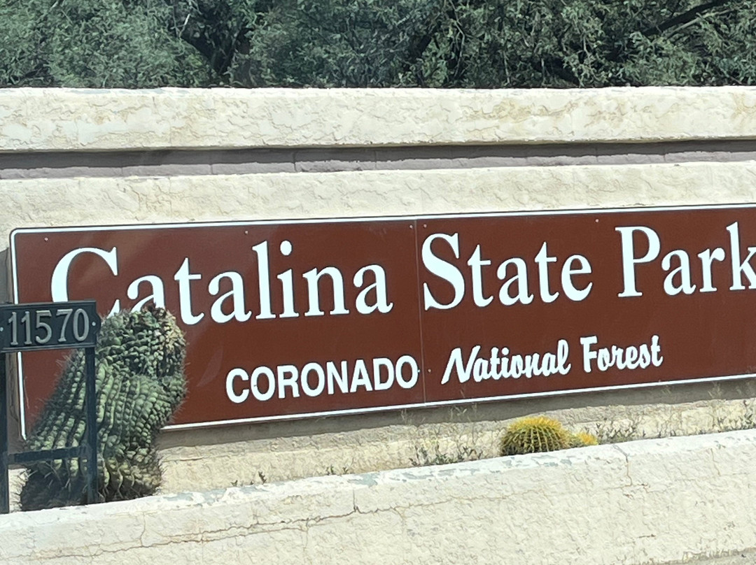 Catalina State Park-图森必去景点