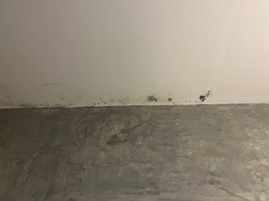 尼拉瓦利帕尔梅拉生态度假酒店