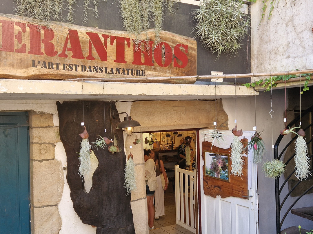 Aeranthos-莲蓬头必去景点