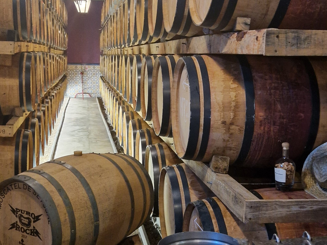 Adega de Palmela-Palmela必去景点