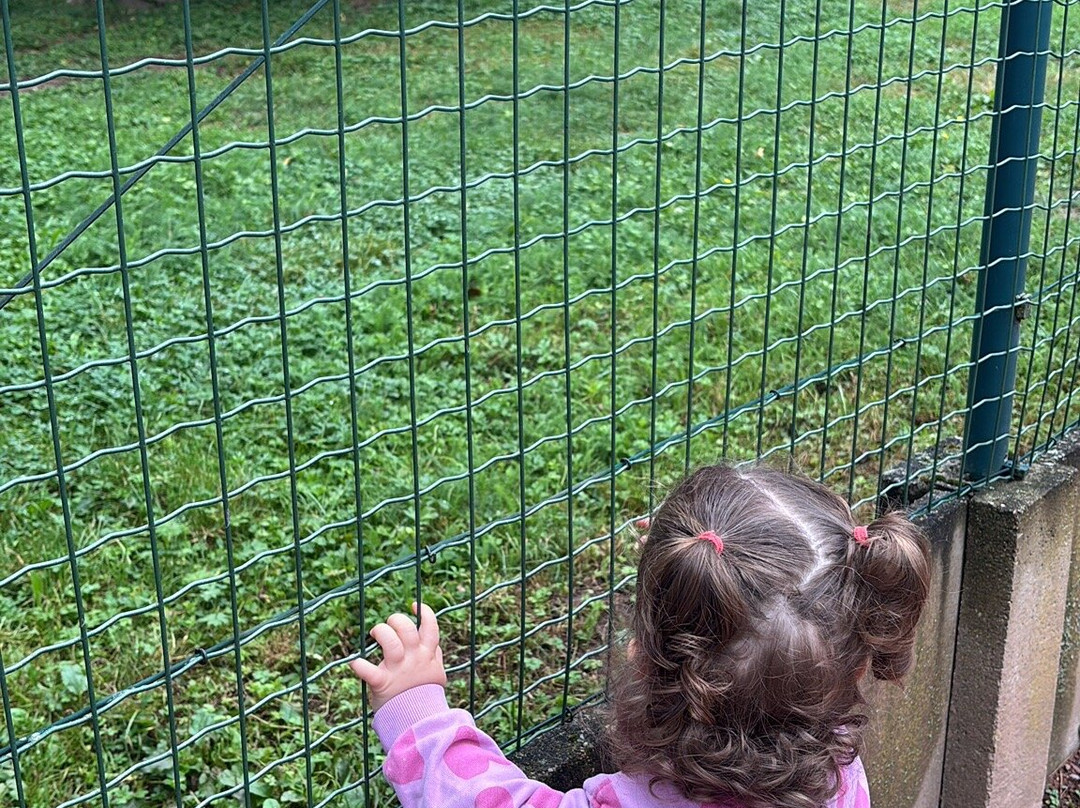 Cigoland - Parc des Cigognes et Attractions-Kintzheim必去景点