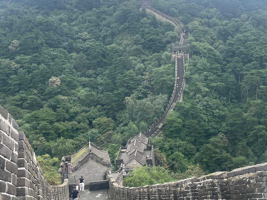 China Tours-西安市必去景点
