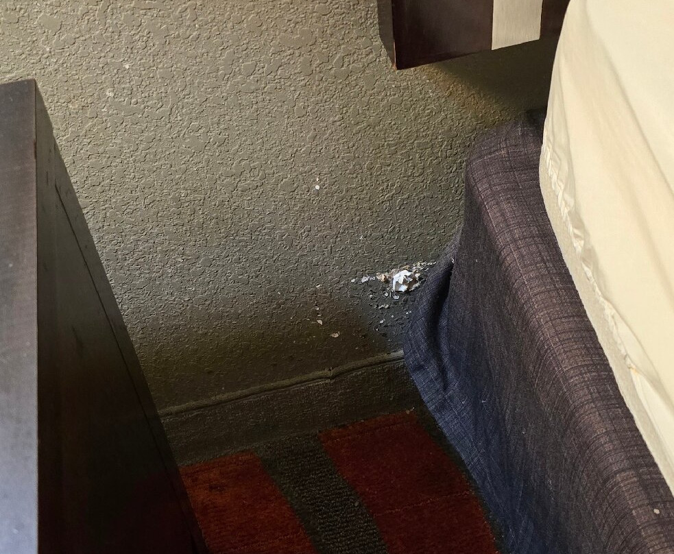 Country Inn & Suites by Radisson, Dearborn, MI主图