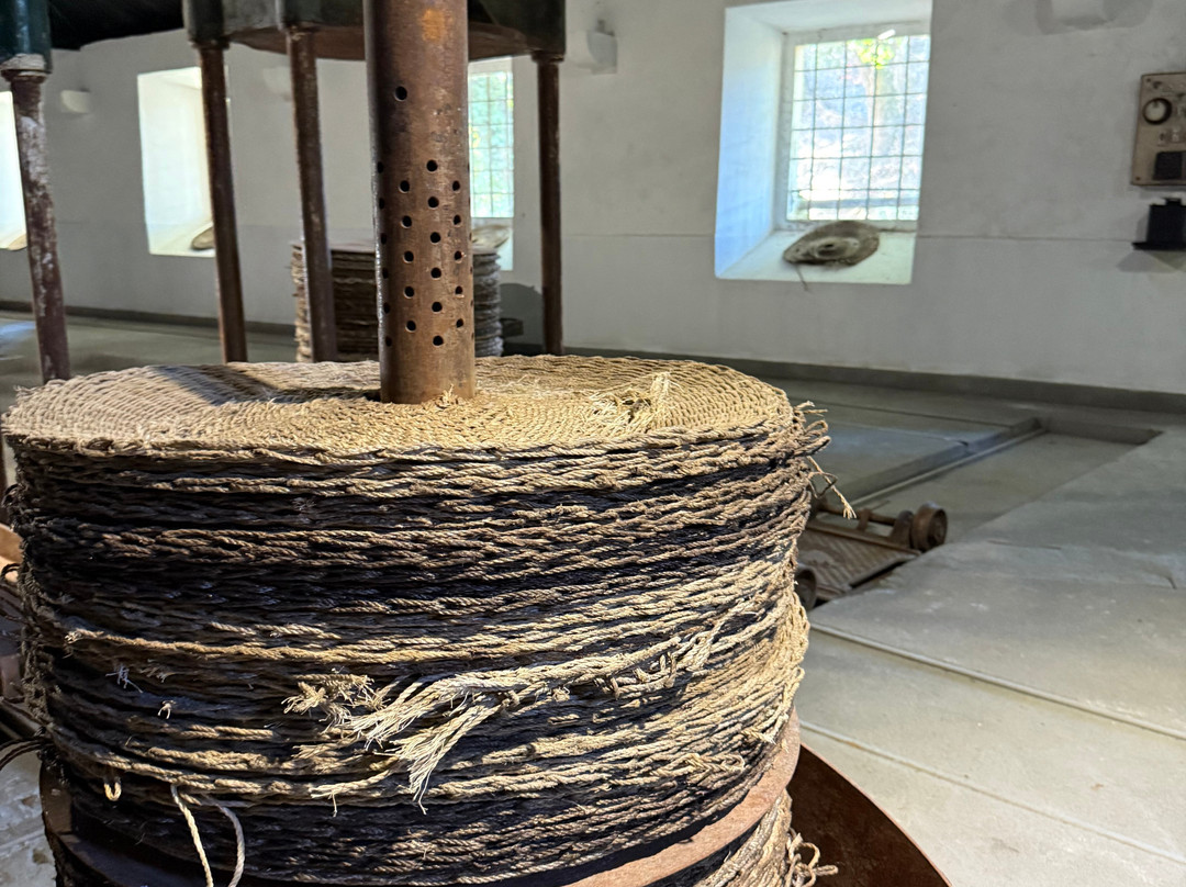 Azeite Casa Anadia - Olive Oil & Tours-Abrantes必去景点
