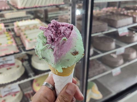 Palitha peiris-康提必去景点