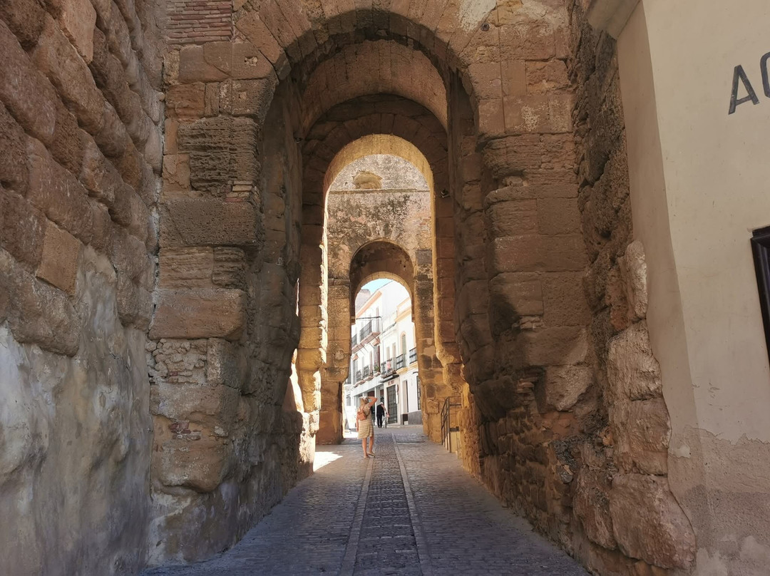 Alcazar de la Puerta de Sevilla-卡莫纳必去景点