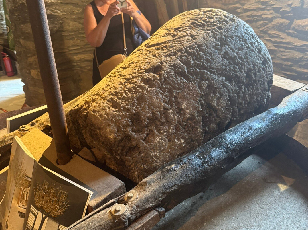 Cyclades Olive Museum-Pitrofos必去景点