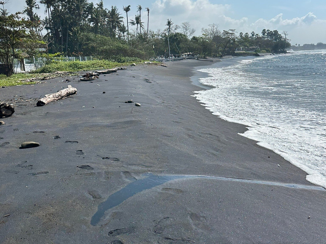 Saba Asri Turtles Conservation-布拉巴度必去景点