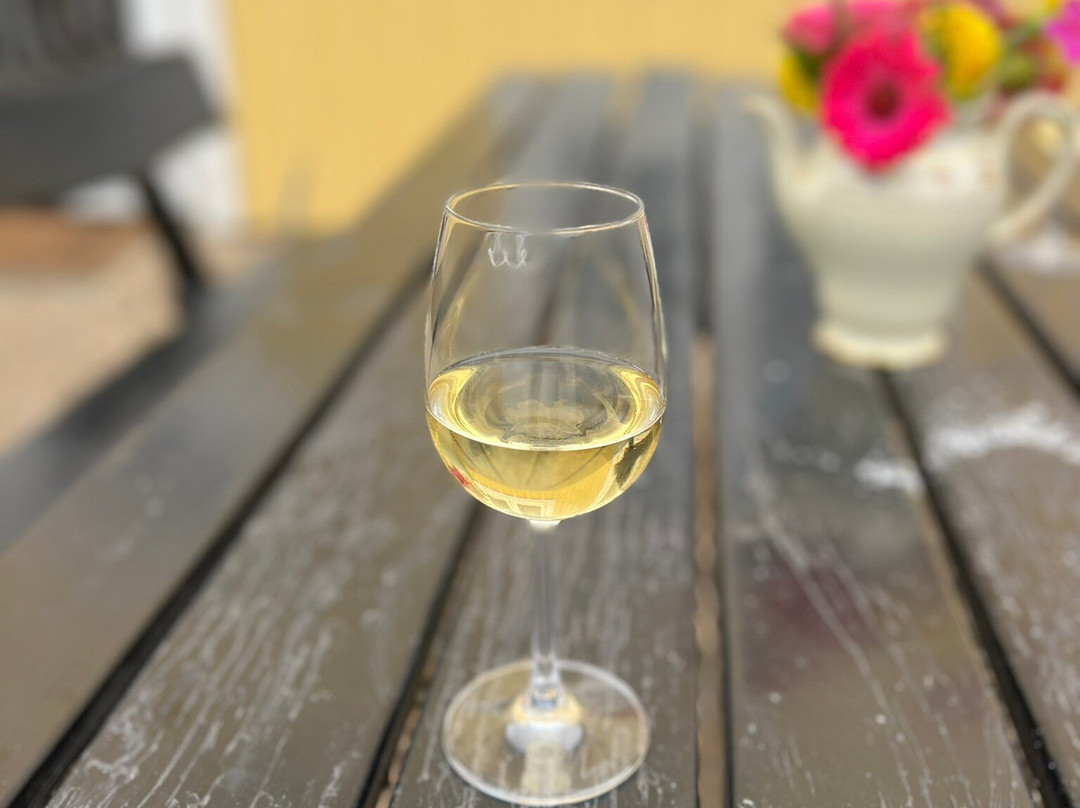 Vester Vedsted Vingaard-里伯必去景点