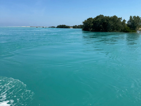 Willie Creek Pearl Farm-布鲁姆必去景点