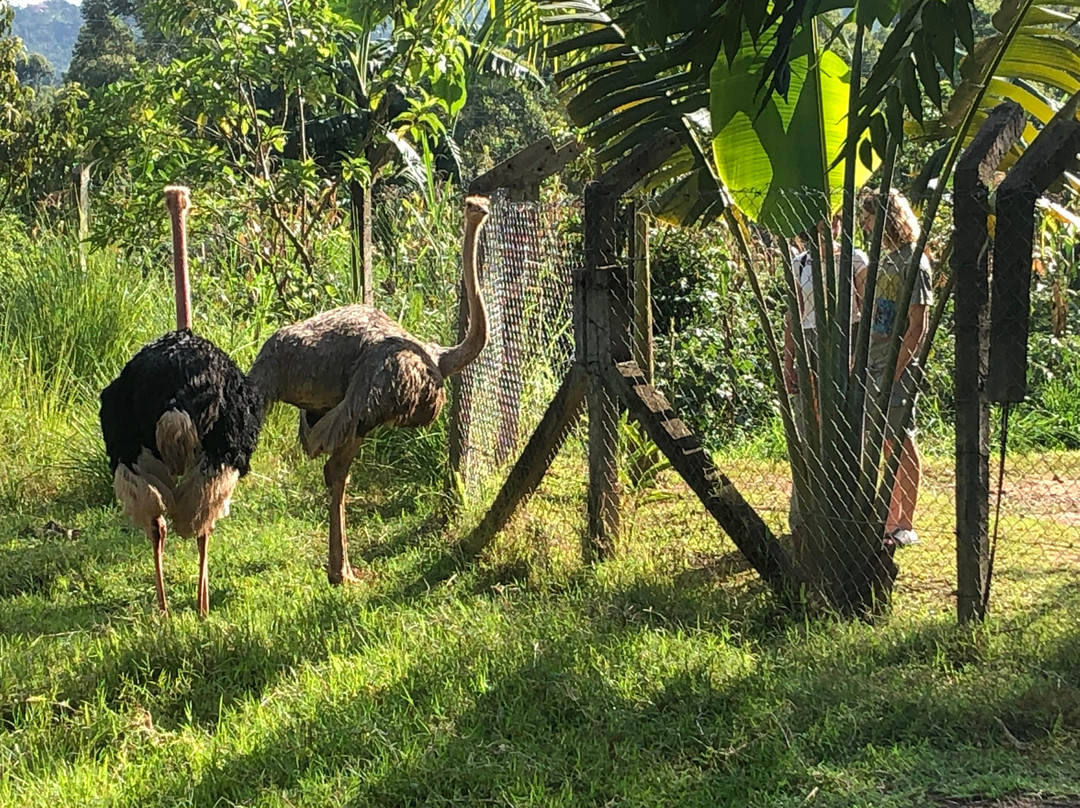 Cwmbale Eco-Tourist Lodge