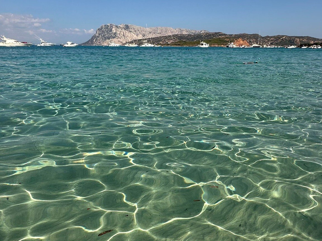 Spiaggia Capo Coda Cavallo-San Teodoro必去景点