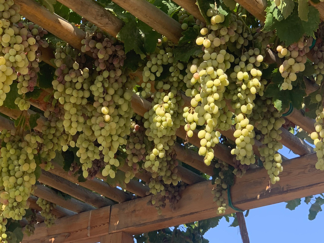 Moraitis Winery-纳乌萨必去景点
