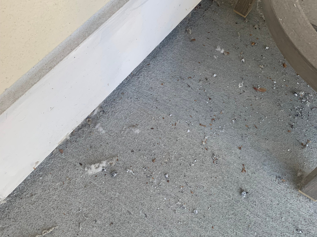 Homewood Suites by Hilton Saratoga Springs主图