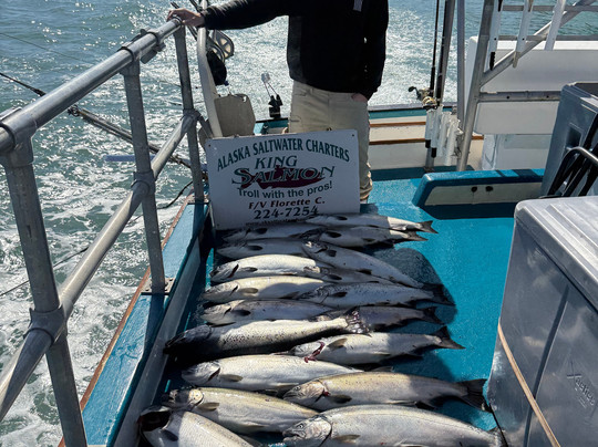 Alaska Saltwater Charters-苏厄德必去景点