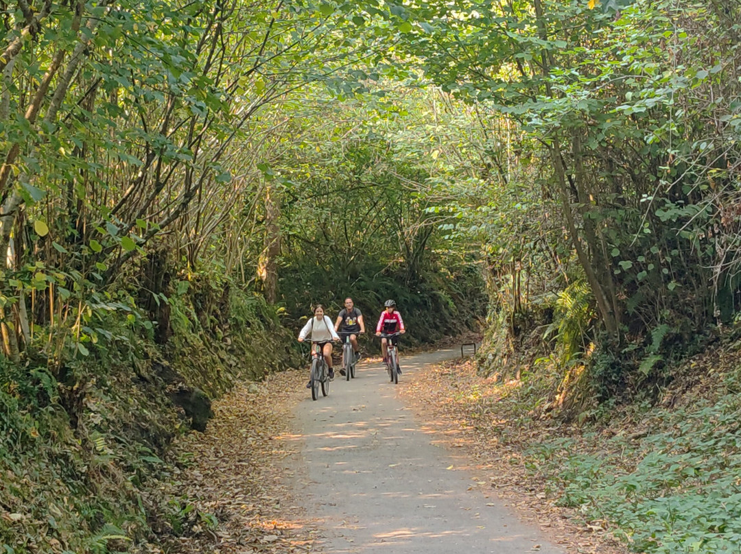 TeverAstur Senda del Oso-Teverga Municipality必去景点