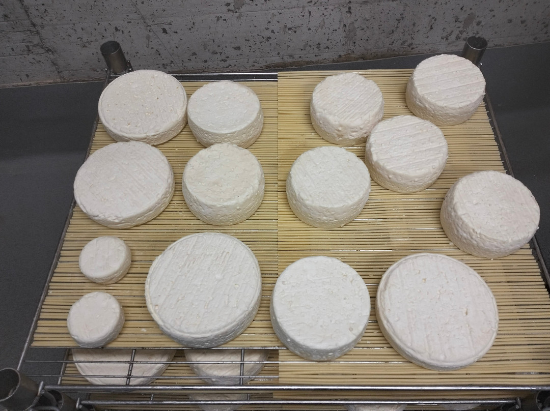 Formatgeria Casa Raubert-马萨纳必去景点