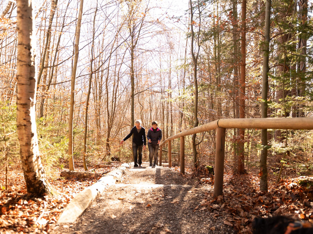 Wandercoaching - Franziska Rauth-Murnau am Staffelsee必去景点