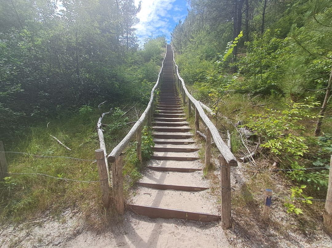 Schoorlse Duinen-Schoorl必去景点