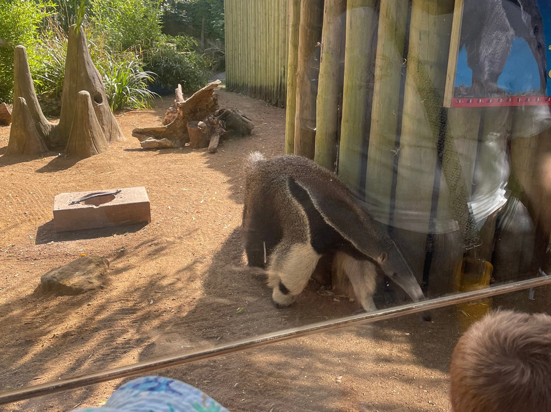 Drusillas Park-Berwick必去景点