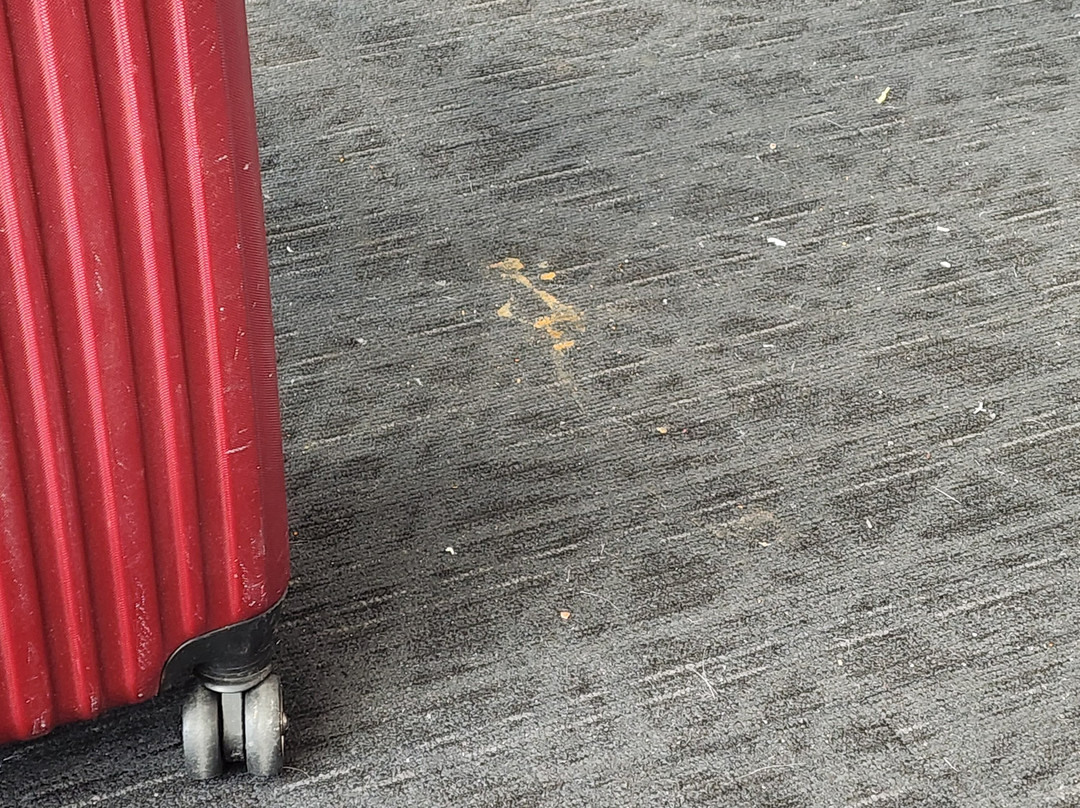 Seattle Tacoma International Airport