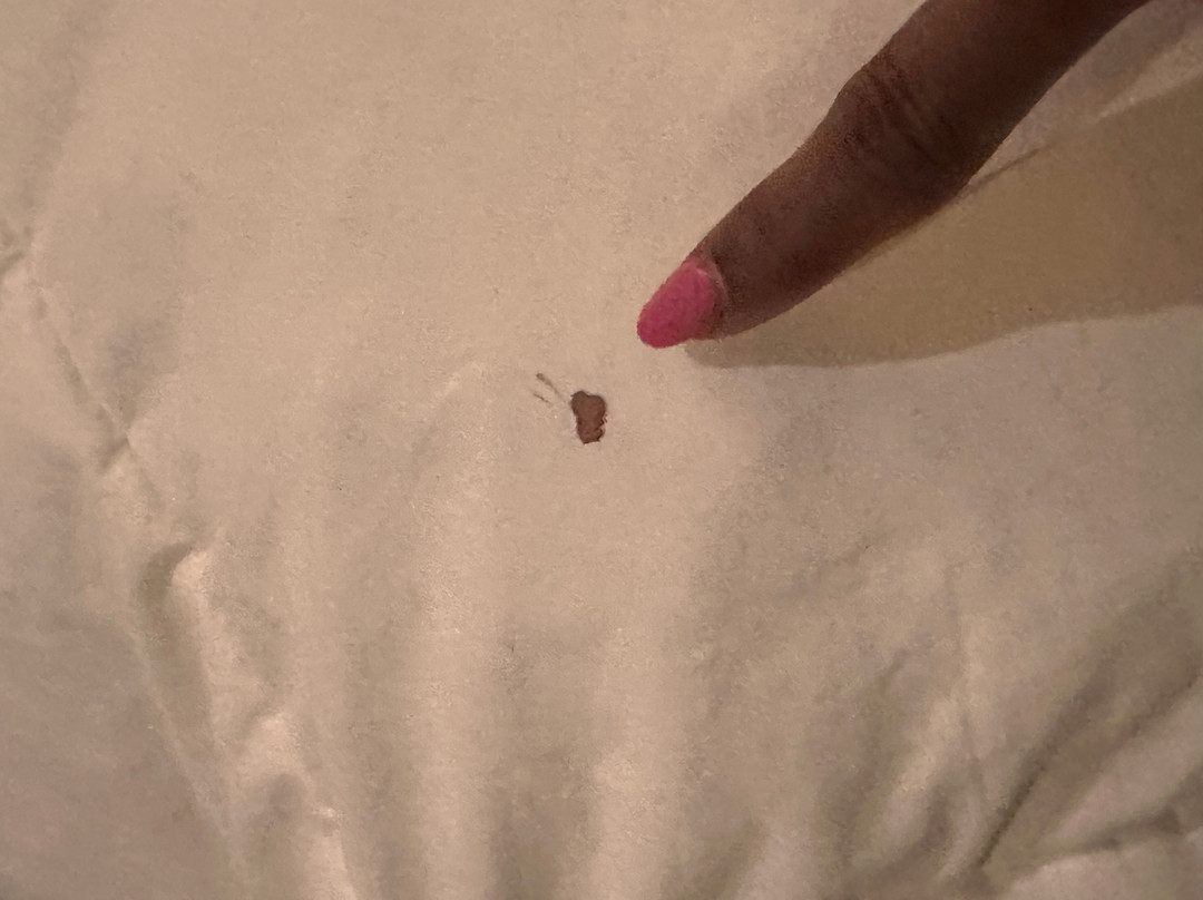 卢瑟里奥温泉酒店主图