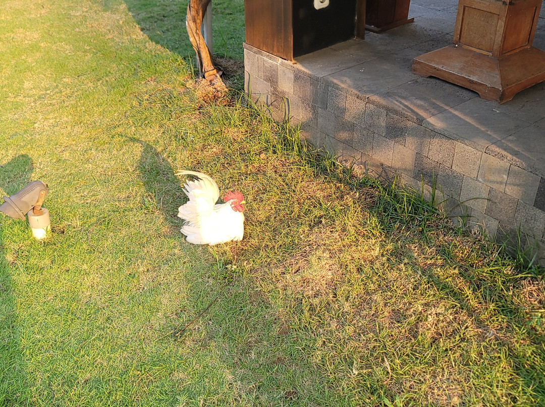 Hotel Le Temple主图