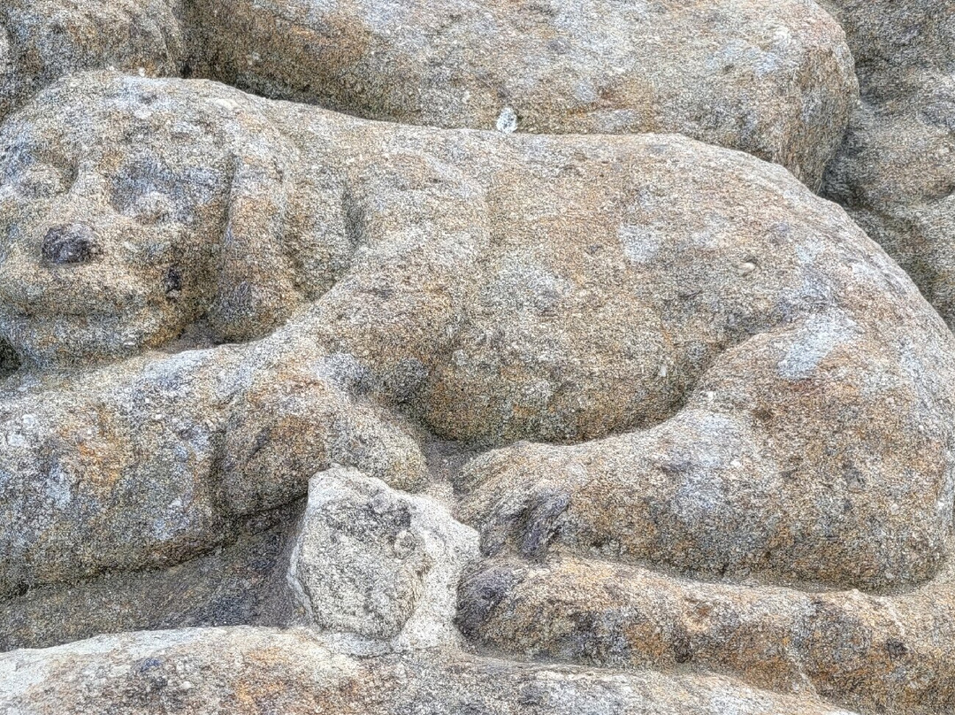 Les Rochers Sculptes-圣马洛必去景点