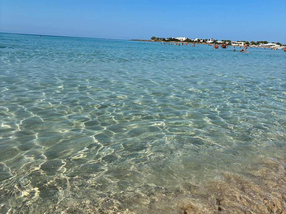 Spiaggia di Punta Prosciuto-Punta Prosciutto必去景点