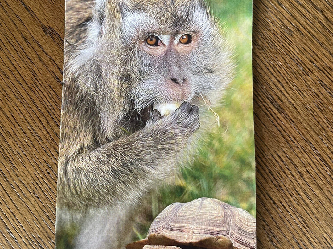 Odsherred Zoo Rescue-Asnaes必去景点
