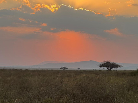 Lifestyle Safaris & Holidays Limited-阿鲁沙必去景点