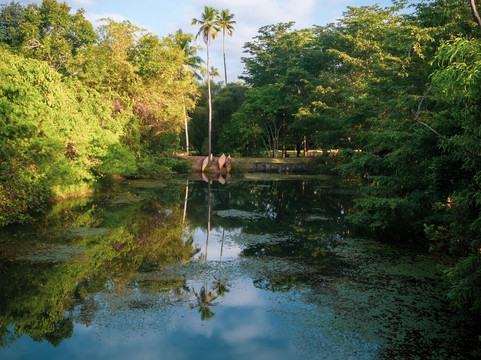 Mirigama酒店住宿-MAS Athena