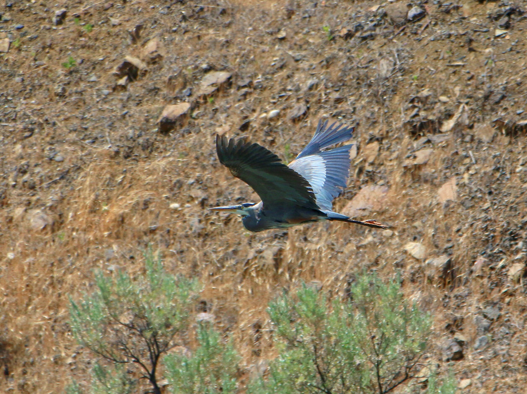 Gear Up Maupin E-bike Rentals-Maupin必去景点