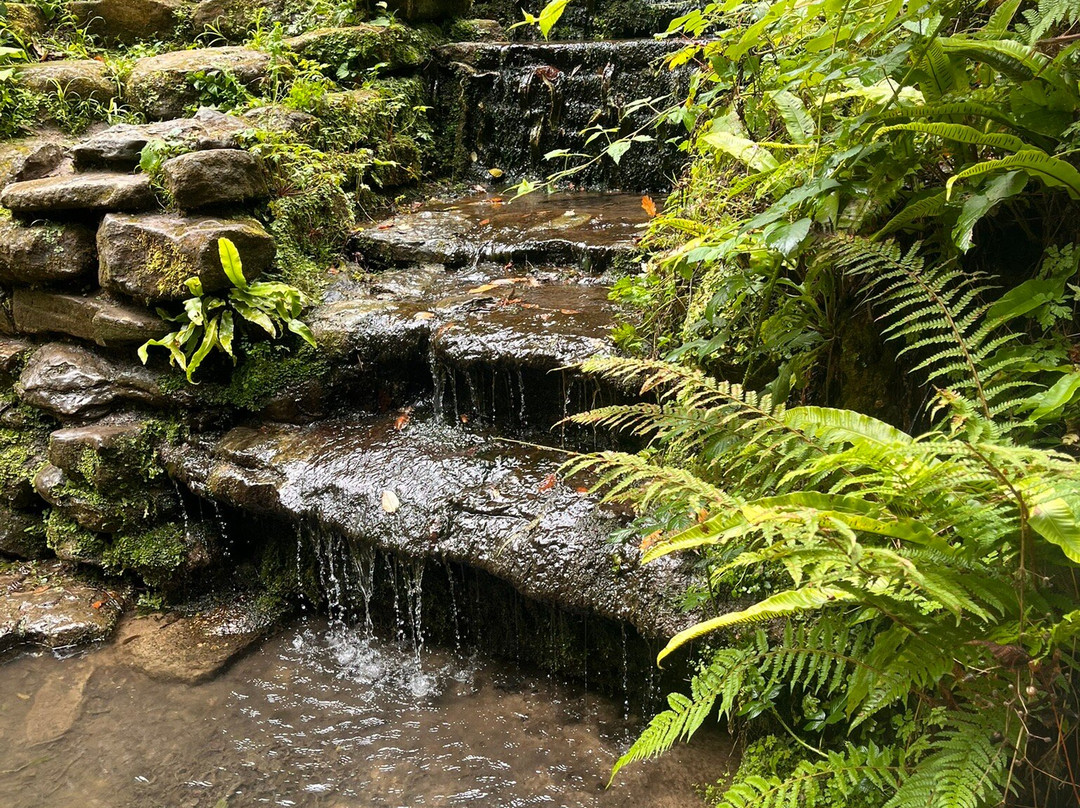 Ninesprings Country Park-约维尔必去景点