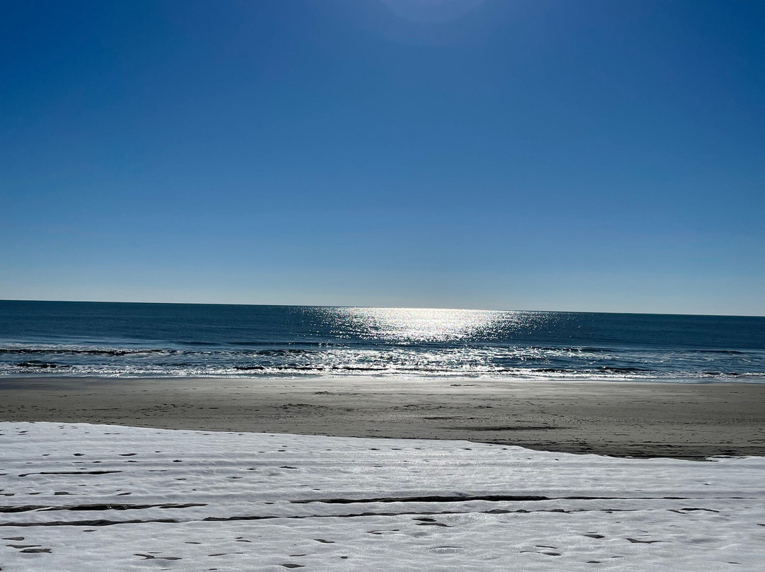 Myrtle Beach State Park-美特尔海滩必去景点