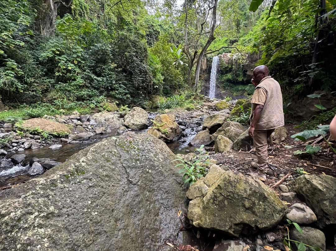 Ifulong Cultural Tourism-阿鲁沙必去景点