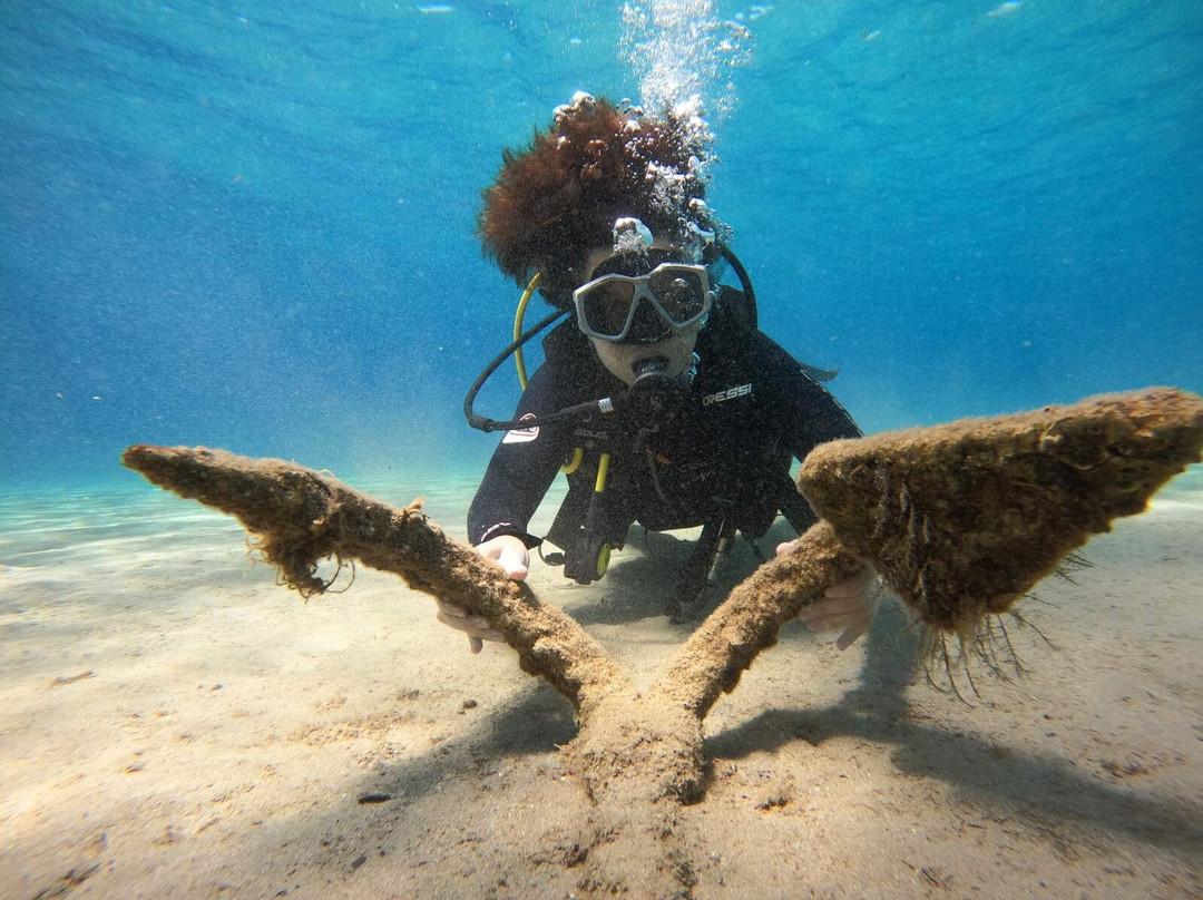Diving Store-Lagonisi必去景点