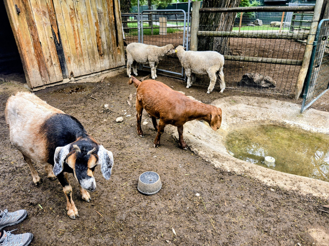 Zootah At Willow Park-洛根必去景点